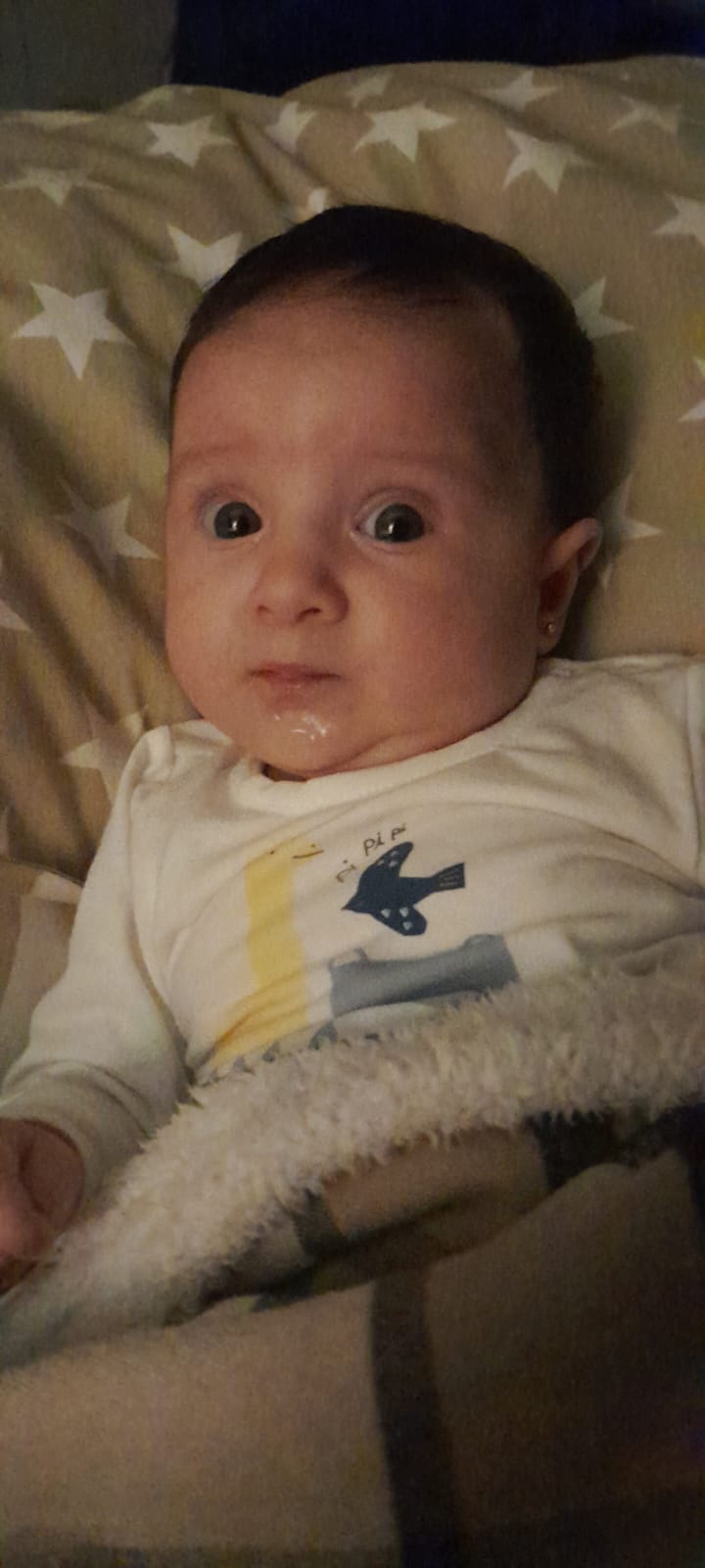 WhatsApp Image 2024-10-18 at 00.05.21.jpeg